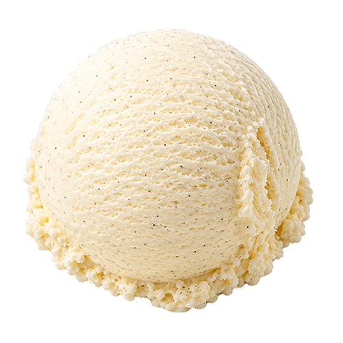 Vanilla Bean ice cream